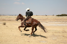 Mexico-Central Mexico-Allende Adventure Getaway